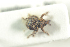  ( - NOCOL845)  @12 [ ] CreativeCommons - Attribution Non-Commercial Share-Alike (2016) Arnstein Staverlokk Norwegian Institute of Nature Research