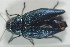  ( - NOCOL332)  @13 [ ] CreativeCommons - Attribution Non-Commercial Share-Alike (2015) Arnstein Staverlokk Norwegian Institute of Nature Research