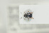  ( - NOCOL090)  @13 [ ] CreativeCommons - Attribution Non-Commercial Share-Alike (2015) Arnstein Staverlokk Norwegian Institute of Nature Research