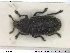  ( - NOCOL1402)  @11 [ ] CreativeCommons - Attribution Share-Alike (2019) NTNU University Museum, Department of Natural History NTNU University Museum, Department of Natural History