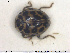  ( - NOCOL1550)  @11 [ ] CreativeCommons - Attribution Share-Alike (2019) NTNU University Museum, Department of Natural History NTNU University Museum, Department of Natural History
