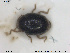  ( - NOCOL1608)  @11 [ ] CreativeCommons - Attribution Share-Alike (2019) NTNU University Museum, Department of Natural History NTNU University Museum, Department of Natural History