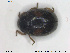  ( - NOCOL1626)  @11 [ ] CreativeCommons - Attribution Share-Alike (2019) NTNU University Museum, Department of Natural History NTNU University Museum, Department of Natural History