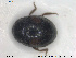  ( - NOCOL1630)  @11 [ ] CreativeCommons - Attribution Share-Alike (2019) NTNU University Museum, Department of Natural History NTNU University Museum, Department of Natural History