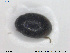  ( - NOCOL1632)  @11 [ ] CreativeCommons - Attribution Share-Alike (2019) NTNU University Museum, Department of Natural History NTNU University Museum, Department of Natural History