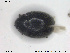  ( - NOCOL1635)  @11 [ ] CreativeCommons - Attribution Share-Alike (2019) NTNU University Museum, Department of Natural History NTNU University Museum, Department of Natural History