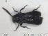  ( - NOCOL1646)  @11 [ ] CreativeCommons - Attribution Share-Alike (2019) NTNU University Museum, Department of Natural History NTNU University Museum, Department of Natural History
