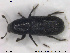  ( - NOCOL1754)  @11 [ ] CreativeCommons - Attribution Share-Alike (2019) NTNU University Museum, Department of Natural History NTNU University Museum, Department of Natural History