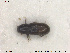 ( - NOCOL1791)  @11 [ ] CreativeCommons - Attribution Share-Alike (2019) NTNU University Museum, Department of Natural History NTNU University Museum, Department of Natural History