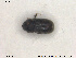  ( - NOCOL1803)  @11 [ ] CreativeCommons - Attribution Share-Alike (2019) NTNU University Museum, Department of Natural History NTNU University Museum, Department of Natural History