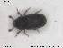  ( - NOCOL1806)  @11 [ ] CreativeCommons - Attribution Share-Alike (2019) NTNU University Museum, Department of Natural History NTNU University Museum, Department of Natural History