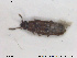  ( - NOCOL1834)  @11 [ ] CreativeCommons - Attribution Share-Alike (2019) NTNU University Museum, Department of Natural History NTNU University Museum, Department of Natural History