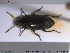  ( - NOCOL1957)  @11 [ ] CreativeCommons - Attribution Share-Alike (2019) NTNU University Museum, Department of Natural History NTNU University Museum, Department of Natural History
