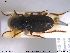  ( - NOCOL1974)  @11 [ ] CreativeCommons - Attribution Share-Alike (2019) NTNU University Museum, Department of Natural History NTNU University Museum, Department of Natural History
