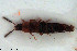  ( - NOCOL3075)  @11 [ ] Creative Commons  Attribution Non-Commercial Share-Alike (2022) NTNU University Museum, Department of Natural History NTNU University Museum, Department of Natural History