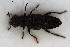  ( - NOCOL3221)  @11 [ ] Creative Commons  Attribution Non-Commercial Share-Alike (2022) NTNU University Museum, Department of Natural History NTNU University Museum, Department of Natural History