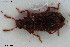  ( - NOCOL3392)  @11 [ ] Creative Commons  Attribution Non-Commercial Share-Alike (2022) NTNU University Museum, Department of Natural History NTNU University Museum, Department of Natural History