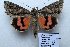  ( - 20363-060813-KA)  @14 [ ] Copyright (2013) Aidas Saldaitis Vilinus Ecological Institute