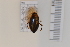  ( - 10077282)  @12 [ ] Unspecified (default): All Rights Reserved  Unspecified Unspecified