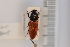  ( - 10077296)  @12 [ ] Unspecified (default): All Rights Reserved  Unspecified Unspecified