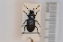  (Licinus - 10077324)  @13 [ ] Unspecified (default): All Rights Reserved  Unspecified Unspecified