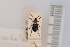  ( - 10076908)  @12 [ ] Unspecified (default): All Rights Reserved  Unspecified Unspecified