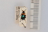 ( - 10076987)  @12 [ ] Unspecified (default): All Rights Reserved  Unspecified Unspecified