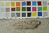  ( - O-F-253462)  @11 [ ] CreativeCommons - Attribution Non-Commercial Share-Alike (2017) Unspecified University of Oslo, Natural History Museum