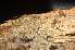  (Hyphodontia pallidula - O-F-253506)  @11 [ ] CreativeCommons - Attribution Non-Commercial Share-Alike (2017) Unspecified University of Oslo, Natural History Museum