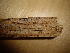  ( - O-F-253484)  @11 [ ] CreativeCommons - Attribution Non-Commercial Share-Alike (2017) Unspecified University of Oslo, Natural History Museum