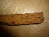  (Phlebia serialis - O-F-253499)  @11 [ ] CreativeCommons - Attribution Non-Commercial Share-Alike (2017) Unspecified University of Oslo, Natural History Museum