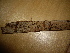  (Xylodon brevisetus - O-F-253718)  @11 [ ] CreativeCommons - Attribution Non-Commercial Share-Alike (2017) Unspecified University of Oslo, Natural History Museum