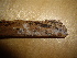  ( - O-F-253726)  @11 [ ] CreativeCommons - Attribution Non-Commercial Share-Alike (2017) Unspecified University of Oslo, Natural History Museum