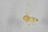  (Liriomyza suecica - NHMO-ENT-443319)  @11 [ ] CreativeCommons - Attribution Non-Commercial Share-Alike (2019) Unspecified University of Oslo, Natural History Museum