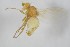  ( - NHMO-ENT-443344)  @11 [ ] CreativeCommons - Attribution Non-Commercial Share-Alike (2019) Unspecified University of Oslo, Natural History Museum