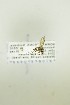  ( - NHMO-DAR-12737)  @12 [ ] CreativeCommons - Attribution Non-Commercial Share-Alike (2017) Unspecified University of Oslo, Natural History Museum