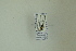  ( - NHMO-DAR-12472)  @11 [ ] CreativeCommons - Attribution Non-Commercial Share-Alike (2017) Unspecified University of Oslo, Natural History Museum
