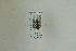  ( - NHMO-DAR-12463)  @12 [ ] CreativeCommons - Attribution Non-Commercial Share-Alike (2017) Unspecified University of Oslo, Natural History Museum