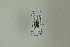  ( - NHMO-DAR-12464)  @12 [ ] CreativeCommons - Attribution Non-Commercial Share-Alike (2017) Unspecified University of Oslo, Natural History Museum