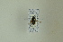  ( - NHMO-DAR-12480)  @11 [ ] CreativeCommons - Attribution Non-Commercial Share-Alike (2017) Unspecified University of Oslo, Natural History Museum