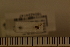  ( - Dro_08_10042341)  @11 [ ] Unspecified (default): All Rights Reserved  Unspecified Unspecified