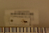  ( - Dro_09_10042285)  @11 [ ] Unspecified (default): All Rights Reserved  Unspecified Unspecified
