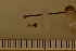  ( - Dro_11_10042676)  @11 [ ] Unspecified (default): All Rights Reserved  Unspecified Unspecified