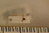  ( - Dro_12_10041641)  @12 [ ] Unspecified (default): All Rights Reserved  Unspecified Unspecified