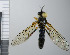  ( - NHMO10069683)  @12 [ ] No Rights Reserved (2013) Unspecified Univeristy of Oslo, Natural History Museum