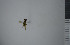  ( - NHMO10069876)  @11 [ ] No Rights Reserved (2013) Unspecified University of Oslo, Natural History Museum