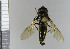  ( - NHMO10070272)  @13 [ ] No Rights Reserved (2013) Unspecified University of Oslo, Natural History Museum