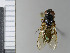  ( - NHMO10070277)  @13 [ ] No Rights Reserved (2013) Unspecified University of Oslo, Natural History Museum