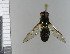  ( - NHMO10070289)  @11 [ ] No Rights Reserved (2013) Unspecified University of Oslo, Natural History Museum