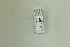  ( - NHMO-DAR-12481)  @11 [ ] CreativeCommons - Attribution Non-Commercial Share-Alike (2017) Unspecified University of Oslo, Natural History Museum
